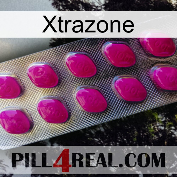 Xtrazone 09.jpg